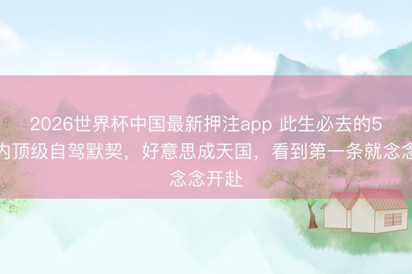 2026世界杯中国最新押注app 此生必去的5条国内顶级自驾默契,好意思成天国,看到第一条就念念开赴