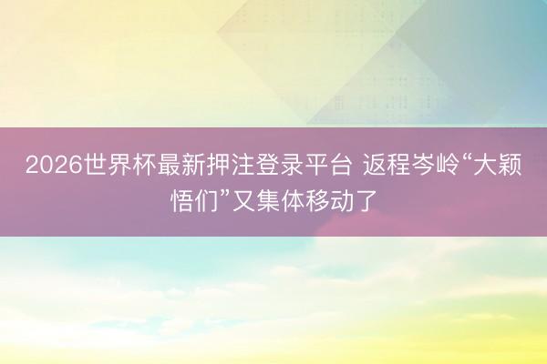 2026世界杯最新押注登录平台 返程岑岭“大颖悟们”又集体移动了