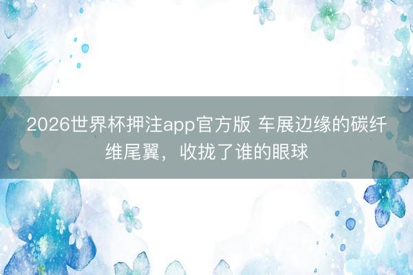 2026世界杯押注app官方版 车展边缘的碳纤维尾翼，收拢了谁的眼球