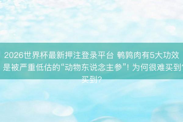 2026世界杯最新押注登录平台 鹌鹑肉有5大功效， 是被严重低估的“动物东说念主参”! 为何很难买到?