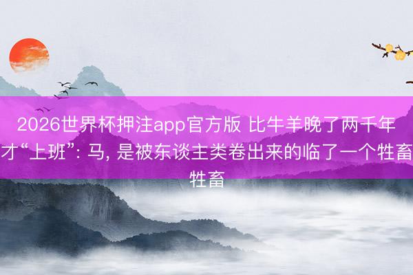 2026世界杯押注app官方版 比牛羊晚了两千年才“上班”: 马， 是被东谈主类卷出来的临了一个牲畜