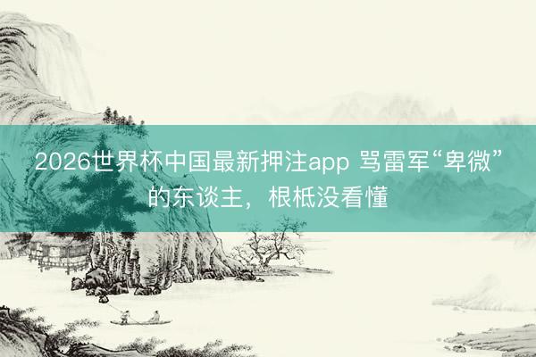 2026世界杯中国最新押注app 骂雷军“卑微”的东谈主,根柢没看懂