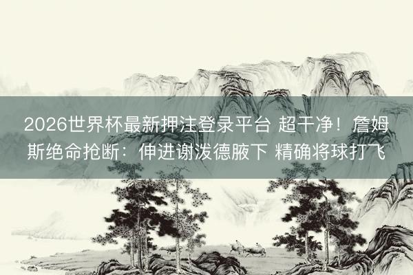 2026世界杯最新押注登录平台 超干净！詹姆斯绝命抢断：伸进谢泼德腋下 精确将球打飞