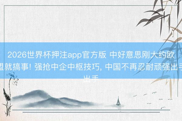 2026世界杯押注app官方版 中好意思刚大约欧盟就搞事! 强抢中企中枢技巧， 中国不再忍耐顽强出手