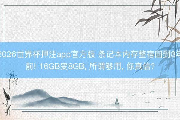 2026世界杯押注app官方版 条记本内存整宿回到8年前! 16GB变8GB， 所谓够用， 你真信?