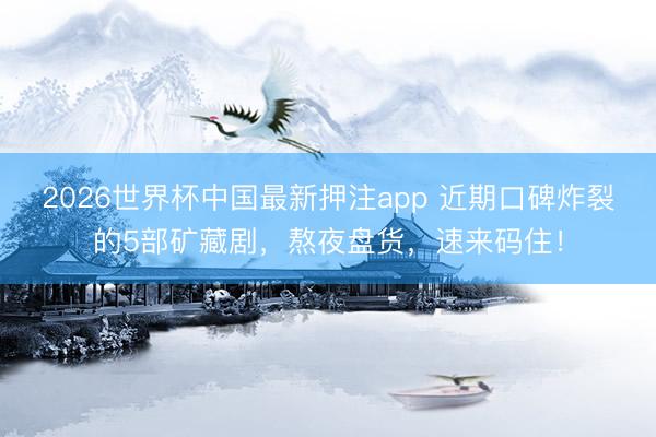 2026世界杯中国最新押注app 近期口碑炸裂的5部矿藏剧,熬夜盘货,速来码住!
