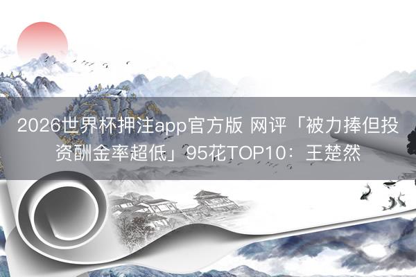 2026世界杯押注app官方版 网评「被力捧但投资酬金率超低」95花TOP10：王楚然