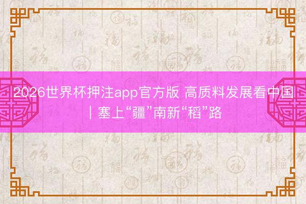 2026世界杯押注app官方版 高质料发展看中国｜塞上“疆”南新“稻”路
