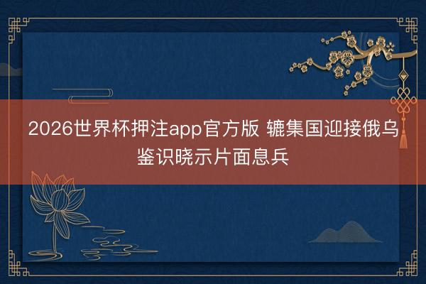 2026世界杯押注app官方版 辘集国迎接俄乌鉴识晓示片面息兵