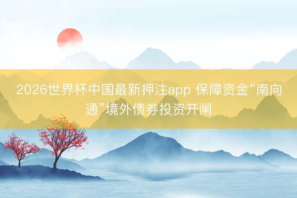 2026世界杯中国最新押注app 保障资金“南向通”境外债券投资开闸