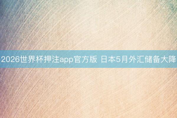 2026世界杯押注app官方版 日本5月外汇储备大降