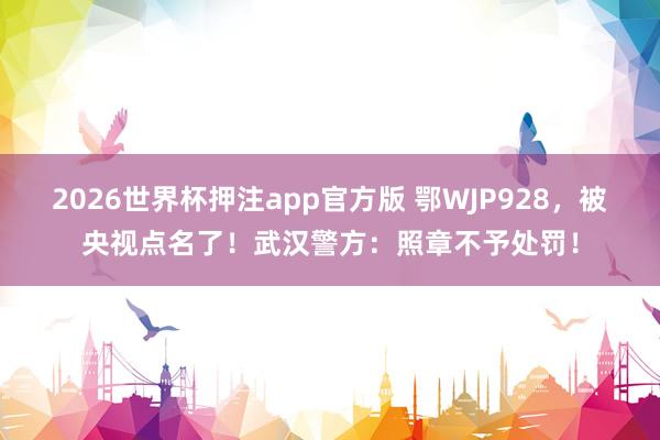 2026世界杯押注app官方版 鄂WJP928，被央视点名了！武汉警方：照章不予处罚！