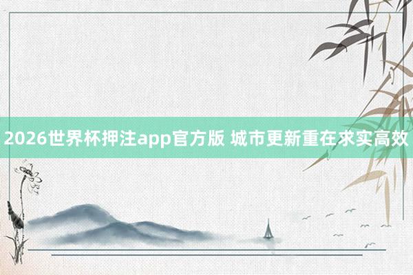 2026世界杯押注app官方版 城市更新重在求实高效